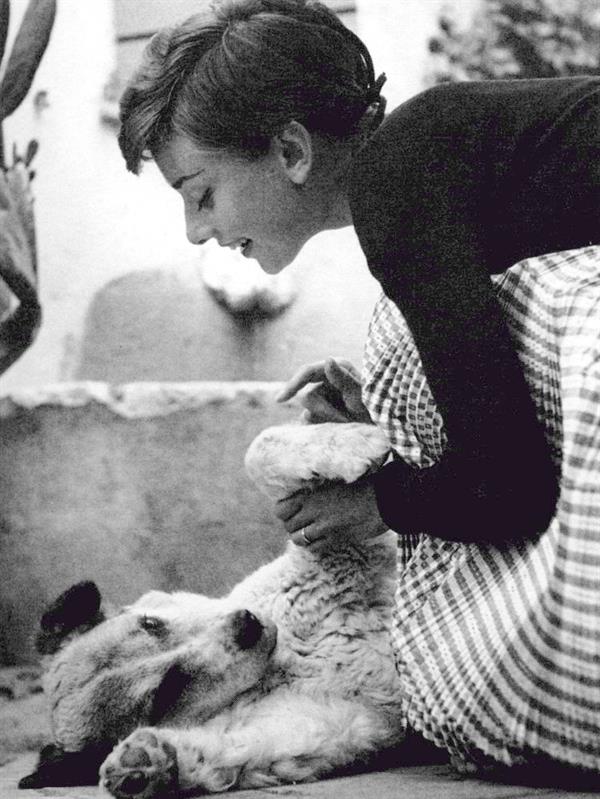 Audrey Hepburn