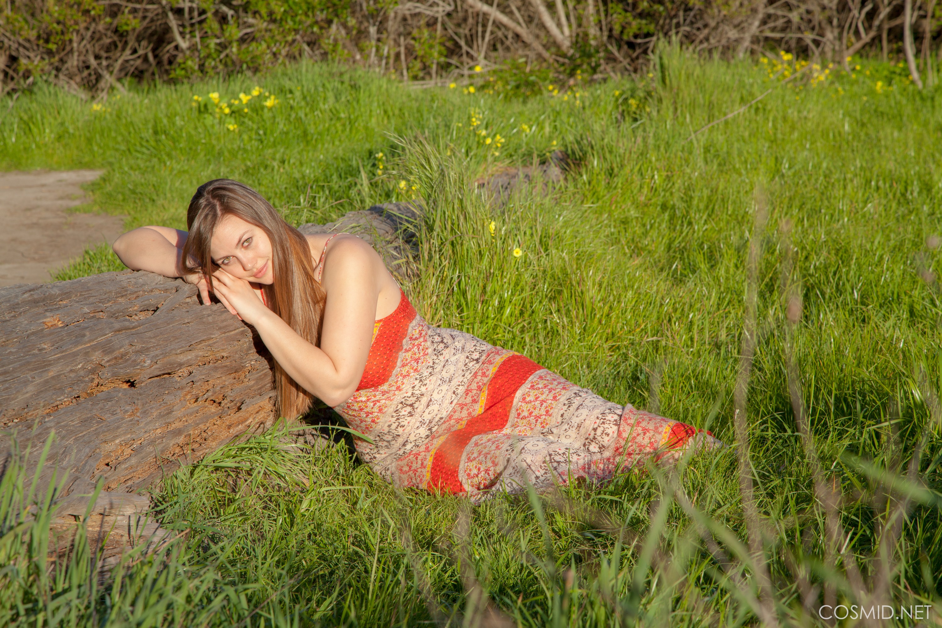 Lillias In The Field