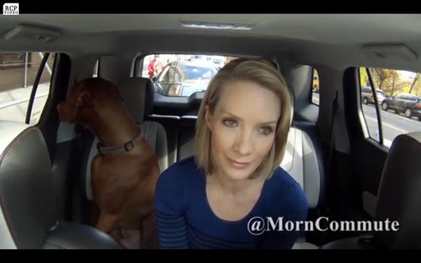 Dana Perino