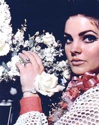 Priscilla Presley
