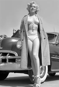 Marilyn Monroe in a bikini