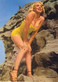 Marilyn Monroe Pictures Marilyn Monroe